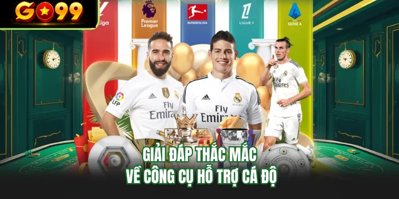 giai dap thac mac ve cong cu ho tro ca do