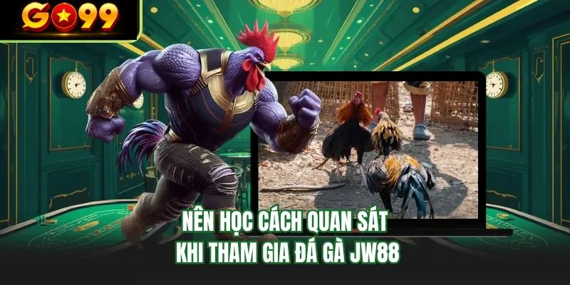 nen hoc cach quan sat khi tham gia da ga go99