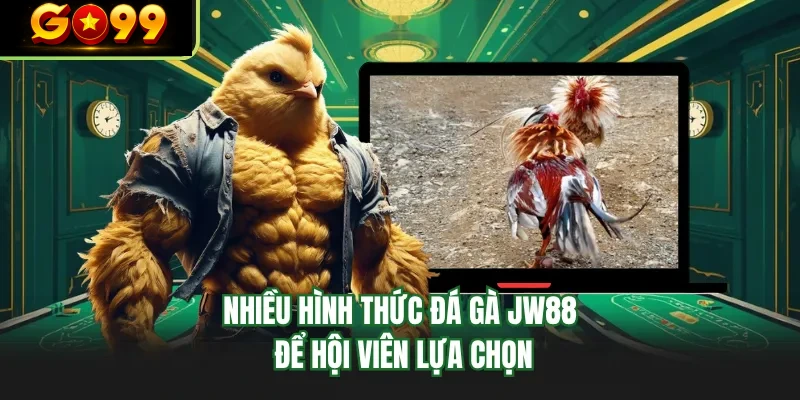 nhieu hinh thuc da ga go99 de hoi vien lua chon